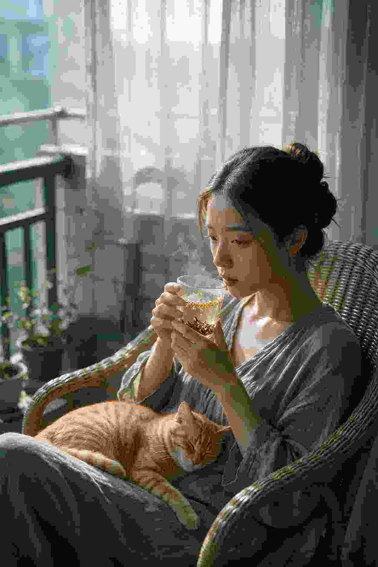 番剧